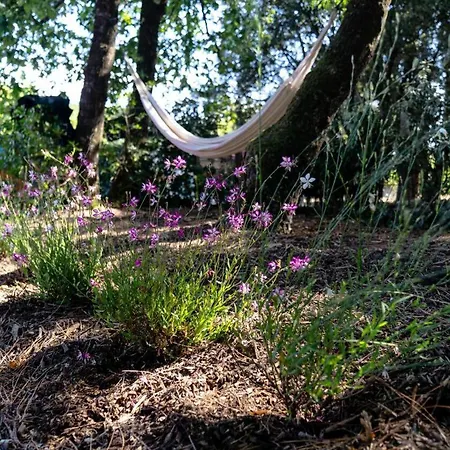 081-soulac Sur - 081 - Magnifique Maison Dans Quartier Prise De Mae-9701 Villa *