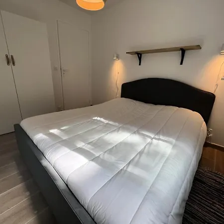 081-soulac Sur - 081 - Magnifique Maison Dans Quartier Prise De Mae-9701 Villa